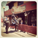 oreillys-irish-newfoundland-pub-newfoundland-horse-outside